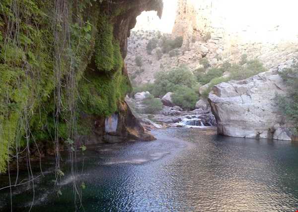 شبکه اجتماعی گردشگری تیشینه