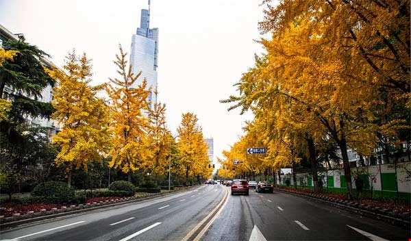 خیابان نانجینگ