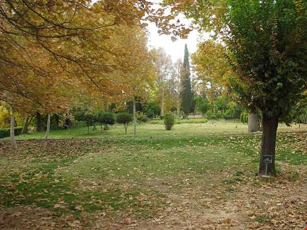 شبکه اجتماعی گردشگری تیشینه
