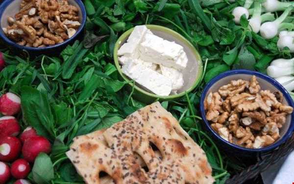 شبکه اجتماعی گردشگری تیشینه