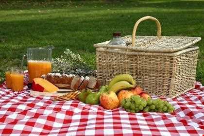 شبکه اجتماعی گردشگری تیشینه