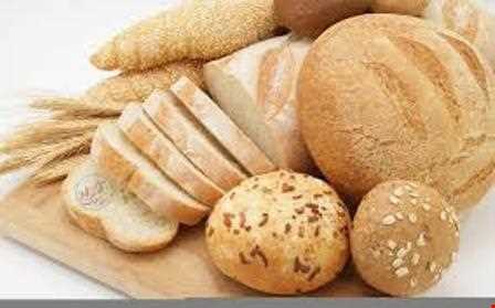شبکه اجتماعی گردشگری تیشینه