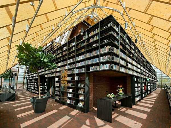 تبدیل کوه کتاب به کتابخانه