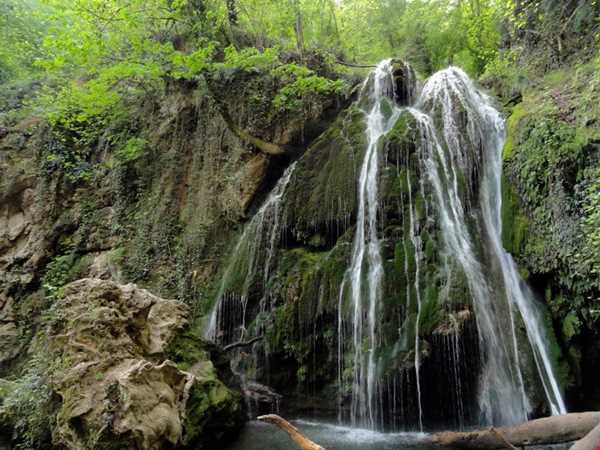 تنها آبشار خزه ای ایران