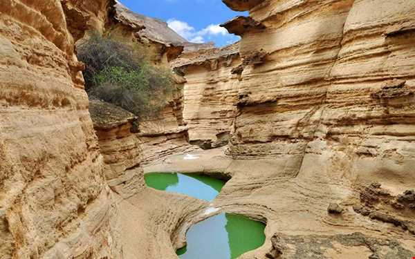 زمان طلایی قشم گردی