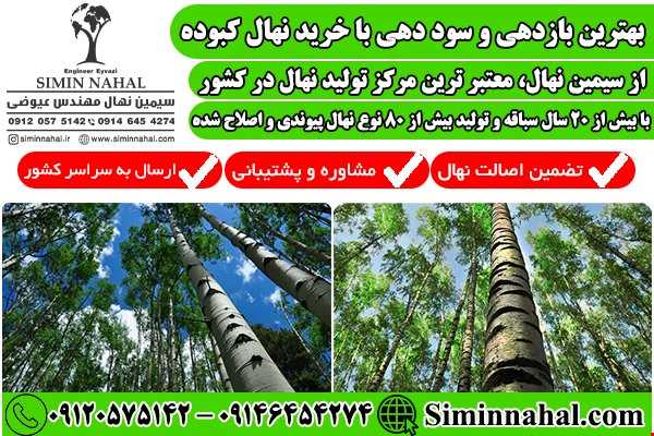 باغ سر سبز و رویایی با کاشت نهال ک