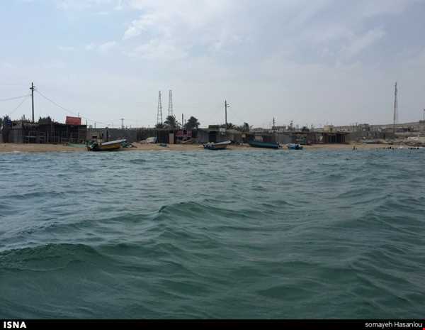 پری‌های دریایی در 43 مایلی آب‌های ایران