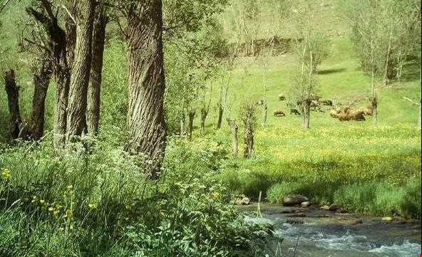 دره لیقوان تبریز