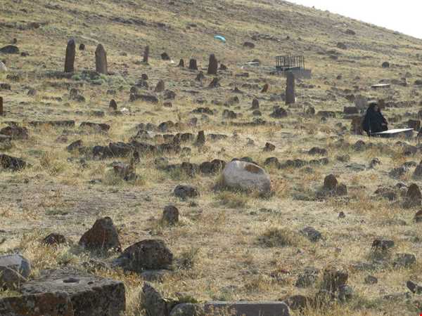 شبکه اجتماعی گردشگری تیشینه