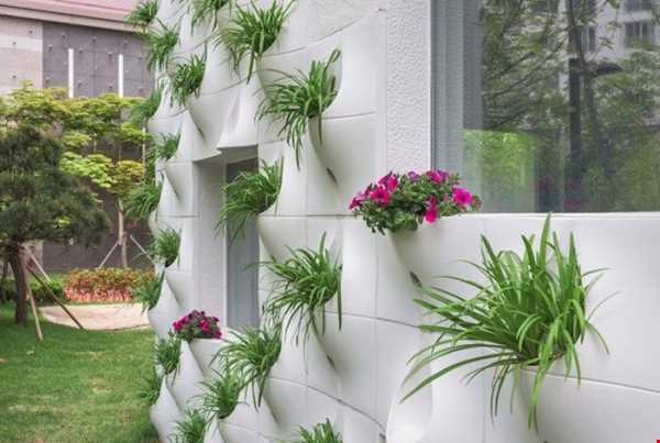 طراحی و معماری جالب دیوار با قابلیت کشت گل و گیاه