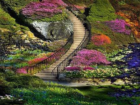 زیباترین باغ گل دنیا