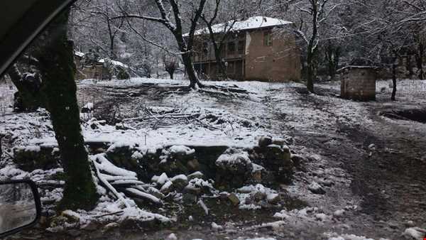 اجاره کلبه‌های روستایی در دل جنگل درفک