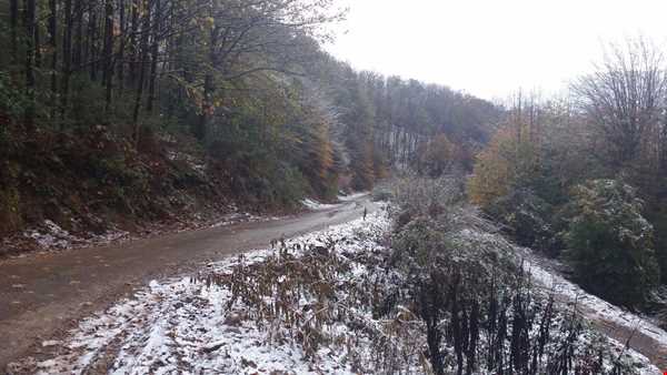 اجاره کلبه‌های روستایی در دل جنگل درفک