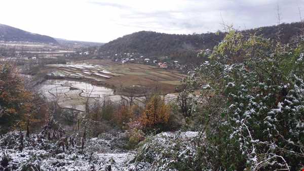 اجاره کلبه‌های روستایی در دل جنگل درفک