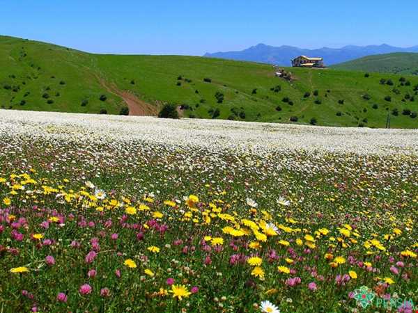 شبکه اجتماعی گردشگری تیشینه