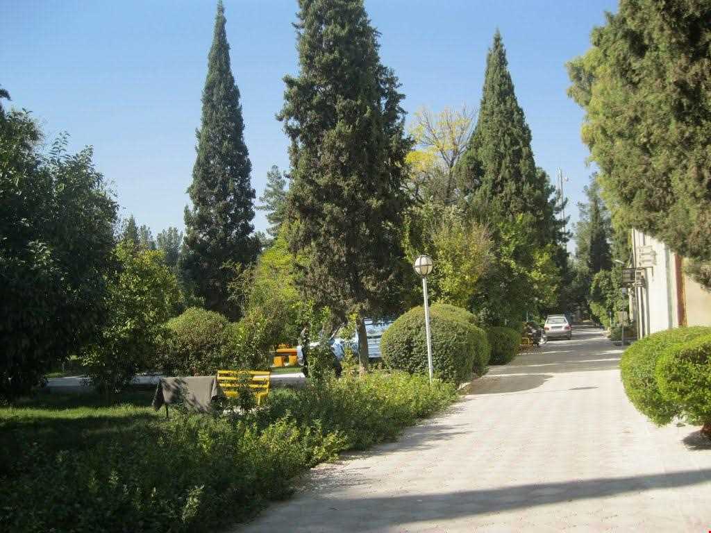 Nazar Caroon garden