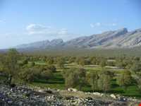 دشت برم کازرون