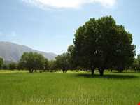 دشت برم کازرون