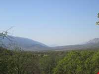 دشت برم کازرون