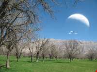 دشت برم کازرون