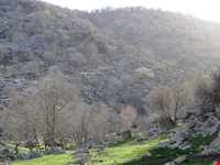 دشت برم کازرون