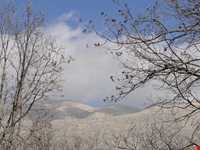 دشت برم کازرون