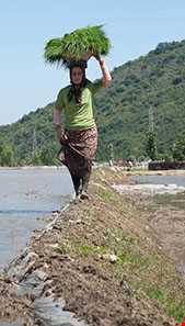 روستای پاسند