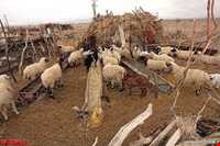 روستای میمند