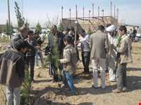 روستای زوزن