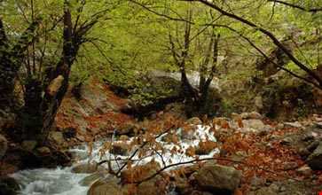 روستای شیوند