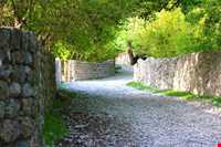 روستای شیوند