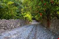 روستای شیوند