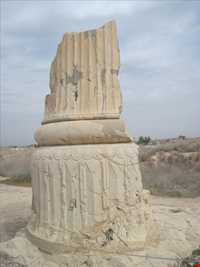 کاخ آپادانای شوش