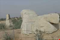 کاخ آپادانای شوش