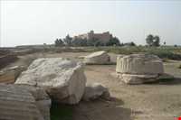 کاخ آپادانای شوش