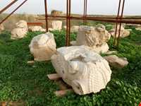 کاخ آپادانای شوش