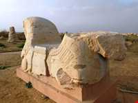 کاخ آپادانای شوش