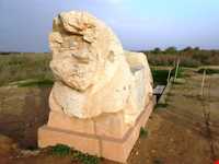 کاخ آپادانای شوش