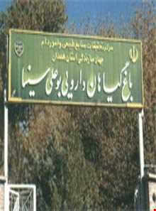 باغ گیاهان دارویی بو علی سینا