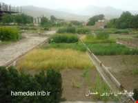 Herb garden of Boo Ali Sina