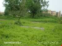 Herb garden of Boo Ali Sina