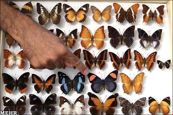Hamedan Museum of Natural History