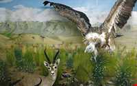 Hamedan Museum of Natural History