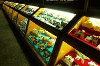 Hamedan Museum of Natural History