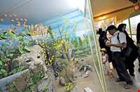 Hamedan Museum of Natural History