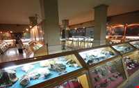 Hamedan Museum of Natural History