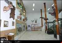 Hamedan Museum of Natural History