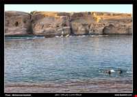 پارک ساحلی دز ( علی کله )