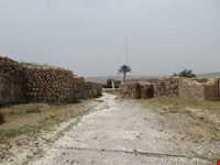 Tange Chogan Reliefs