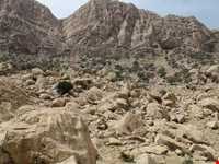 Tange Chogan Reliefs